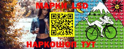 Альфа ПВП Заводоуковск