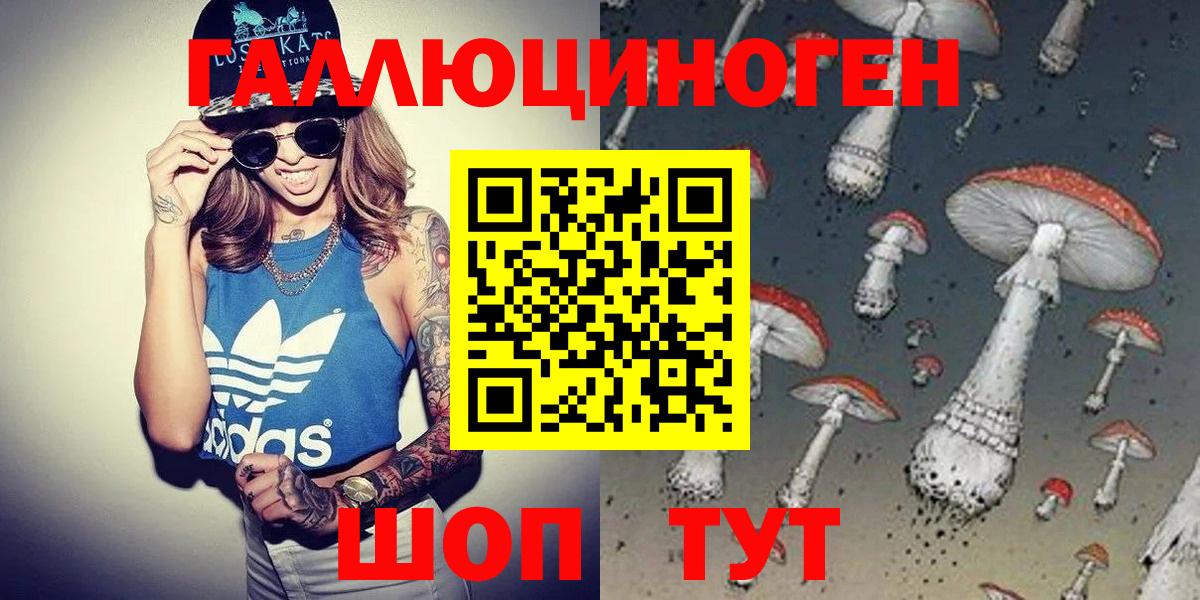 Галлюциногенные грибы Psilocybe Магнитогорск